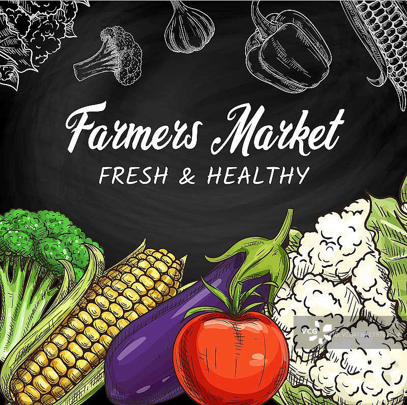 农家蔬菜、蔬菜素描横幅、黑板图片素材