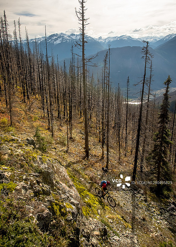 从高处看，山地自行车手攀登穿过烧毁的森林的单轨图片素材