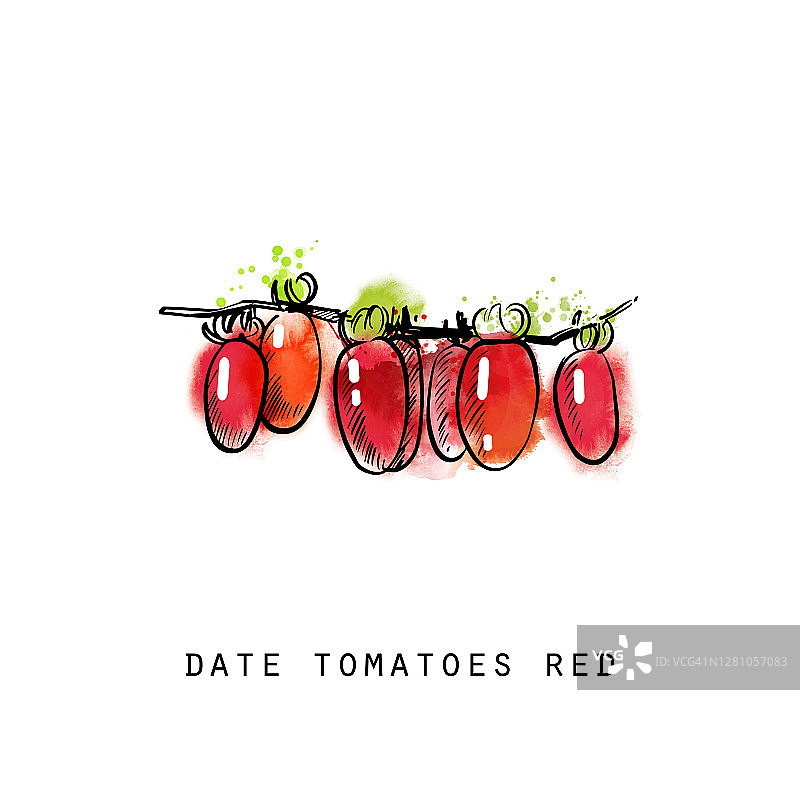 矢量集手绘水果和蔬菜素描插图。图片素材