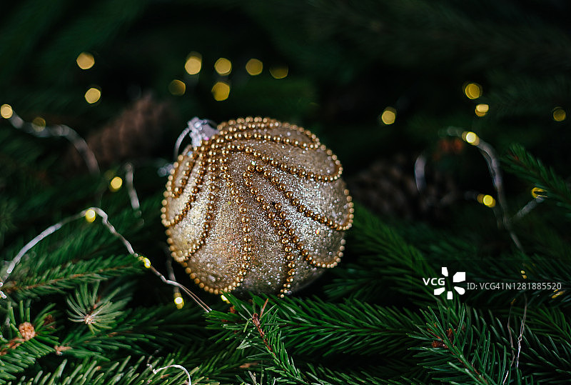 圣诞贺卡以松树树枝和串灯、天然冷杉为背景装饰图片素材