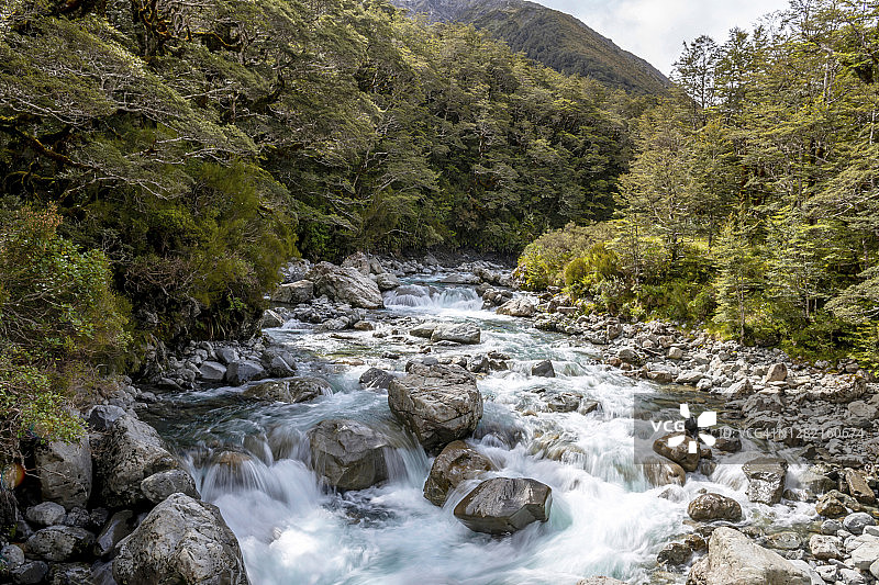 新西兰科卡塔西流动的河流图片素材