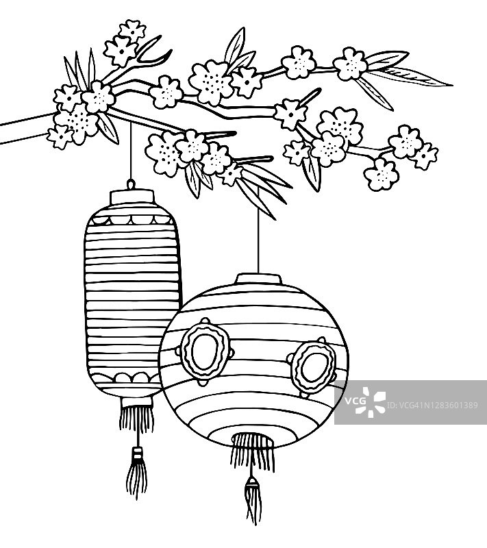 两盏中国纸灯笼挂在树上，花朵盛开。手绘矢量草图插图图片素材