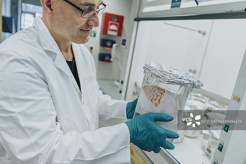 科学家站在实验室检查保存的人脑烧杯图片素材