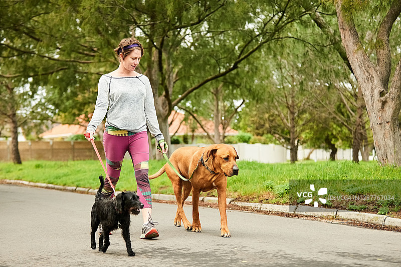 一个女人和她的宠物狗在散步图片素材
