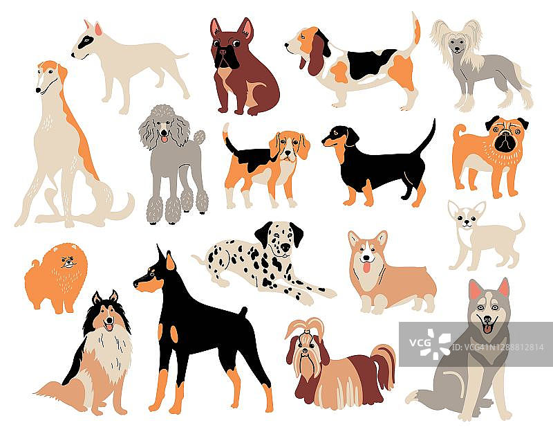 矢量卡通狗品种。可爱的涂鸦插图。不同的狗的性格图片素材