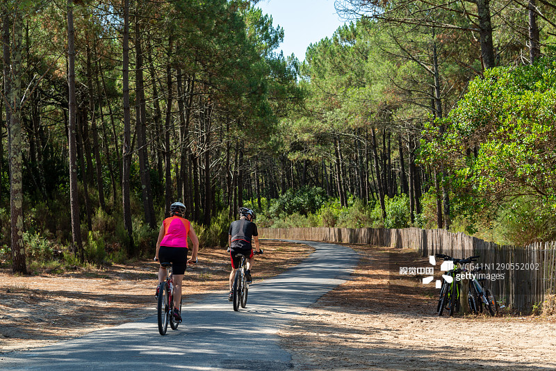 阿尔坎盆地:比斯开森林中的自行车道图片素材