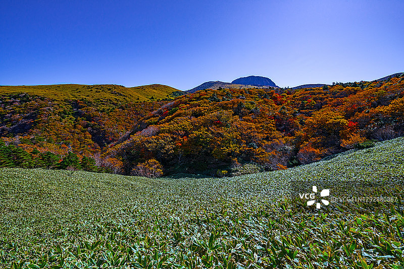 韩国济州岛，halla山的秋季景观图片素材