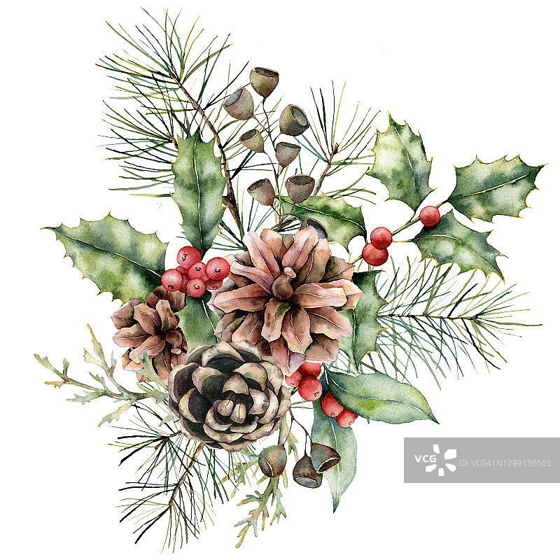 水彩圣诞花束与松果和冬青。手工绘制的节日花，种子和浆果孤立在白色的背景。冬季花卉插图设计，打印，织物或背景。图片素材