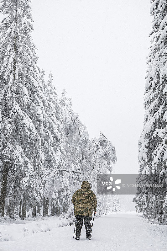 一名男子在白雪覆盖的针叶林中徒步旅行图片素材
