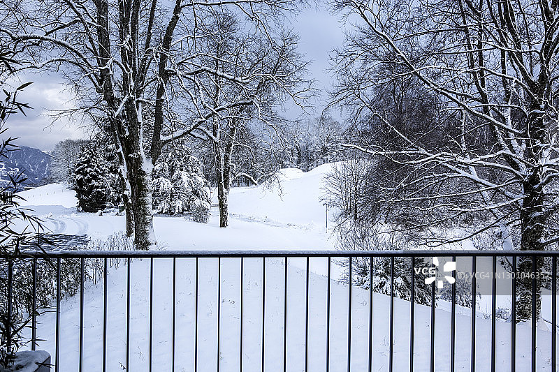 瑞士的雪景:阳台围栏外的森林被雪覆盖图片素材
