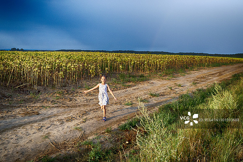 匈牙利，一个女孩伸出双臂沿着向日葵地的边缘走着图片素材