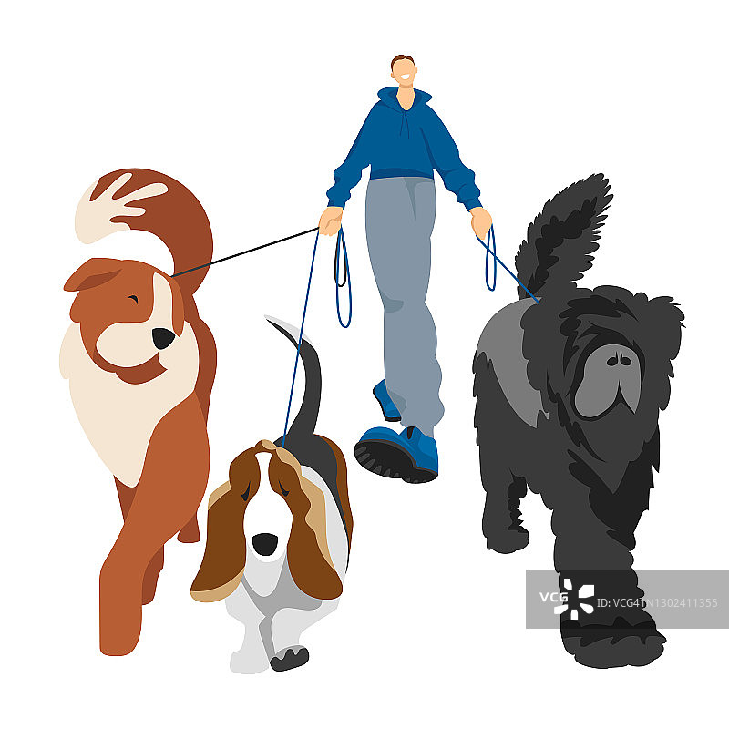 遛狗。人们遛狗。矢量插图的狗的不同品种图片素材