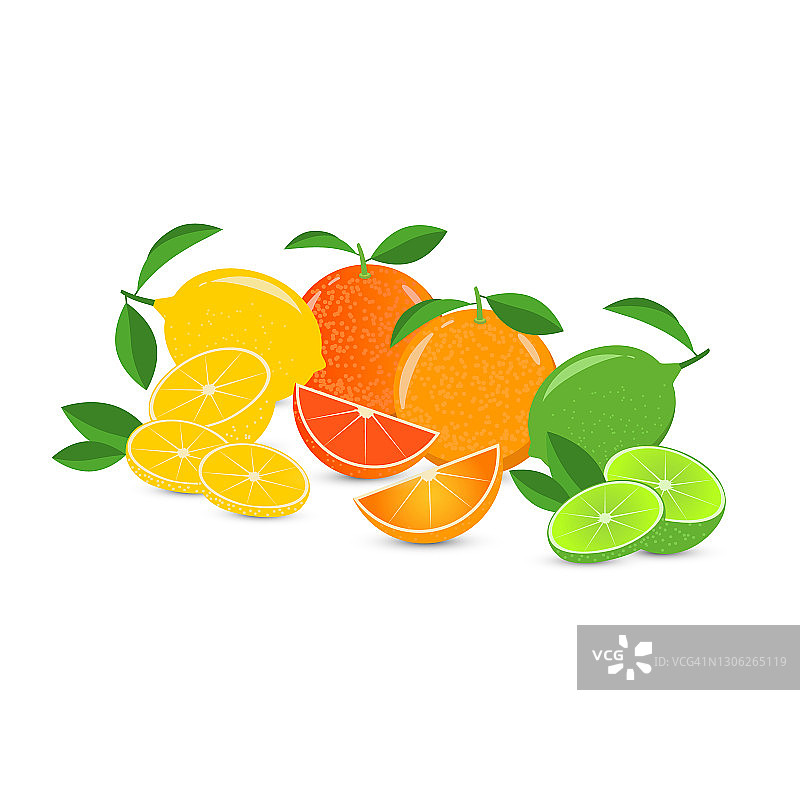 在白色背景上分离的柑橘类水果的载体静物。柠檬，橘子，葡萄柚，酸橙。用绿叶装饰的整块、半块和四分之一。用于各种设计目的图片素材