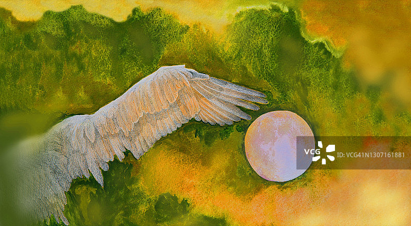 水彩插画画满月翼自由飞翔的小鸟，背景是夜空与云彩图片素材