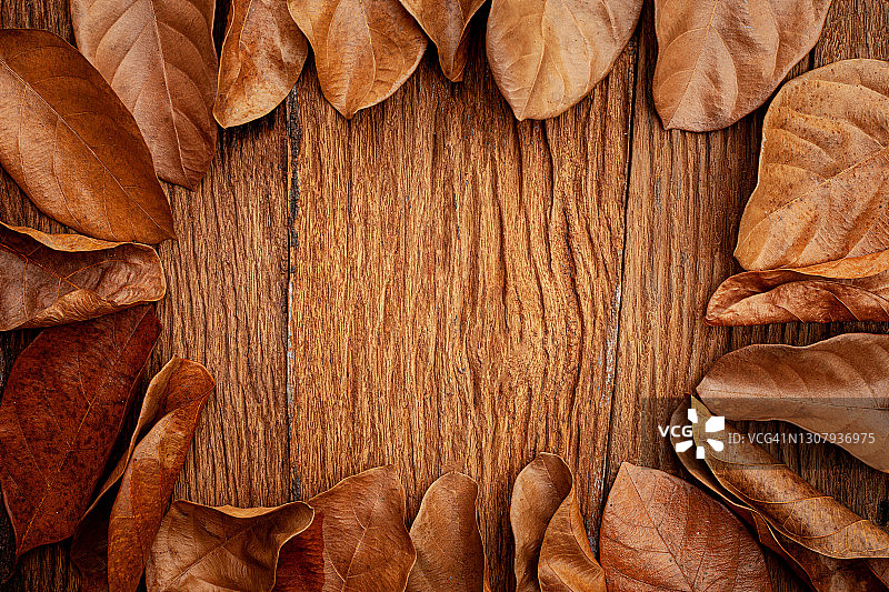 秋叶在古老的木制背景上图片素材