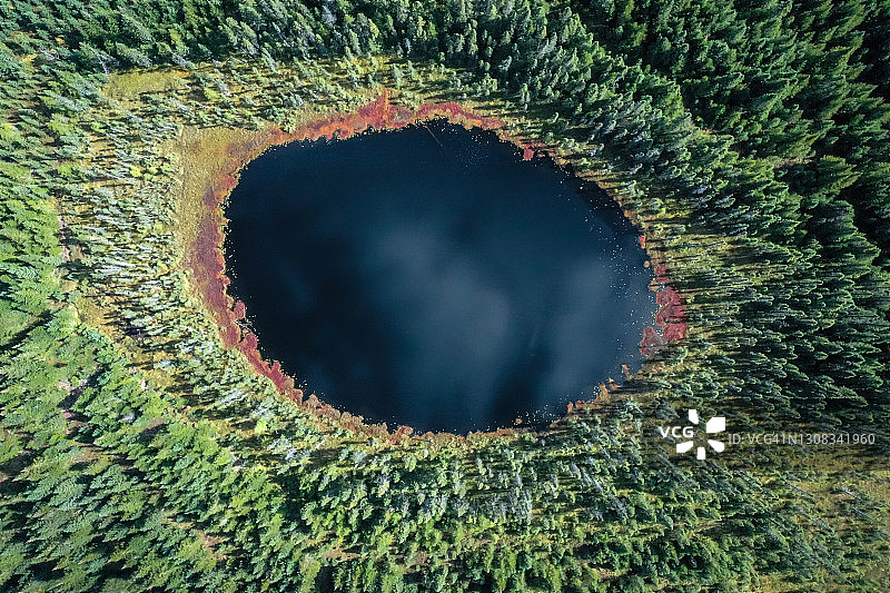 北方自然森林和湖泊的夏季鸟瞰图图片素材