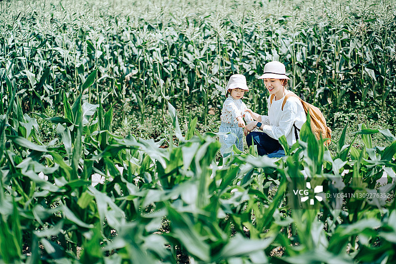 快乐的年轻亚洲家庭在有机玉米农场体验农业。母亲教小女儿学会尊重自然母亲。家庭在大自然和户外的乐趣图片素材