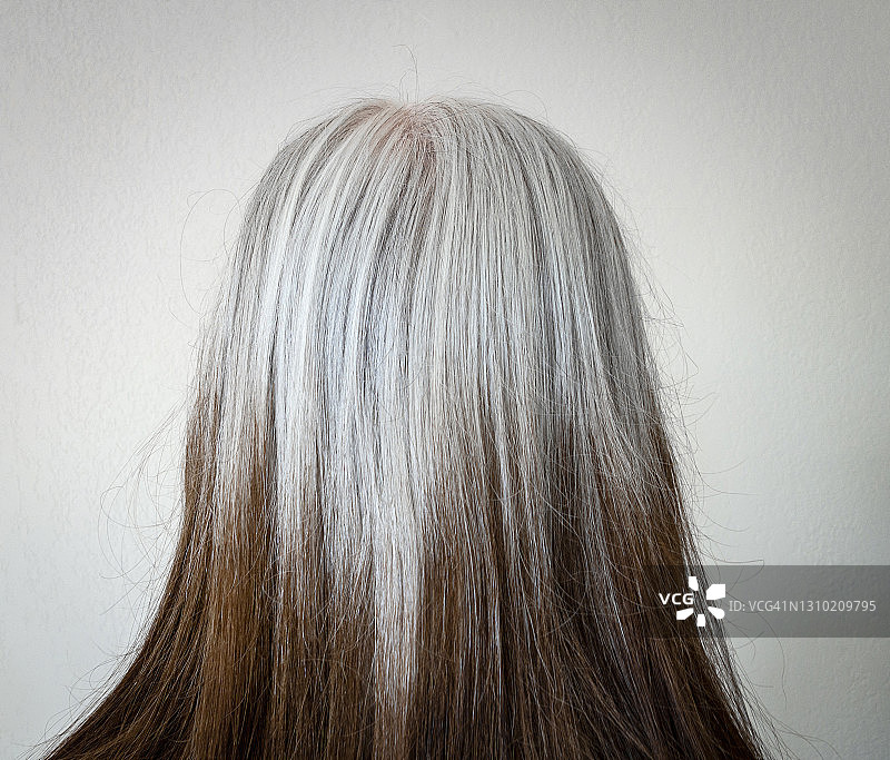 女人头发的后视图图片素材