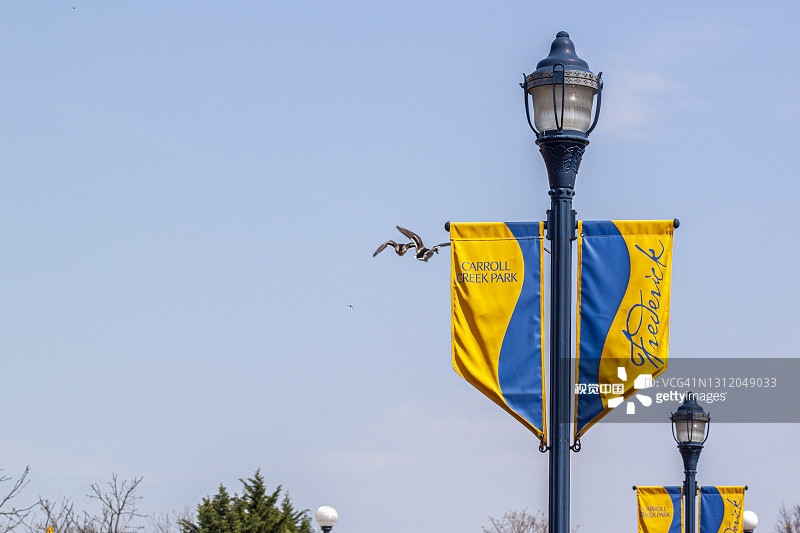 弗雷德里克的卡罗克里克城市公园里时尚的灯柱图片素材