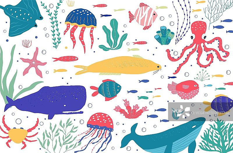 水下生物鱼类，水母，章鱼，小丑鱼，海洋植物和珊瑚，设置海洋动物织物，纺织品，壁纸，托儿所装饰，版画，儿童背景。图片素材
