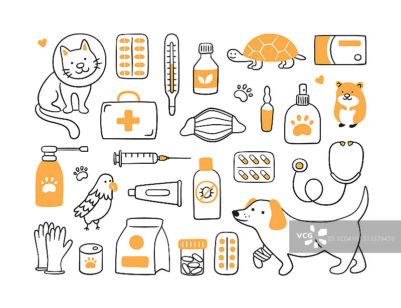 兽医配备宠物、药品和食品。一只戴着项圈的猫和一只爪子缠着绷带的狗。图片素材