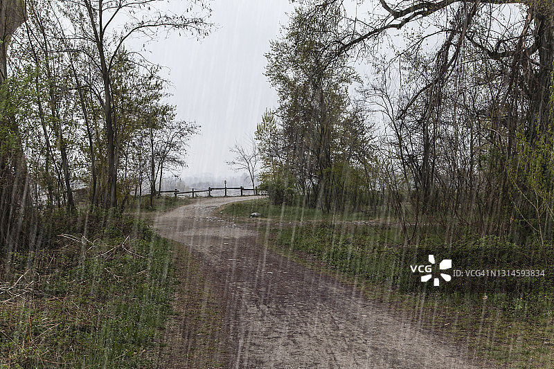 森林小径在一个雨天图片素材