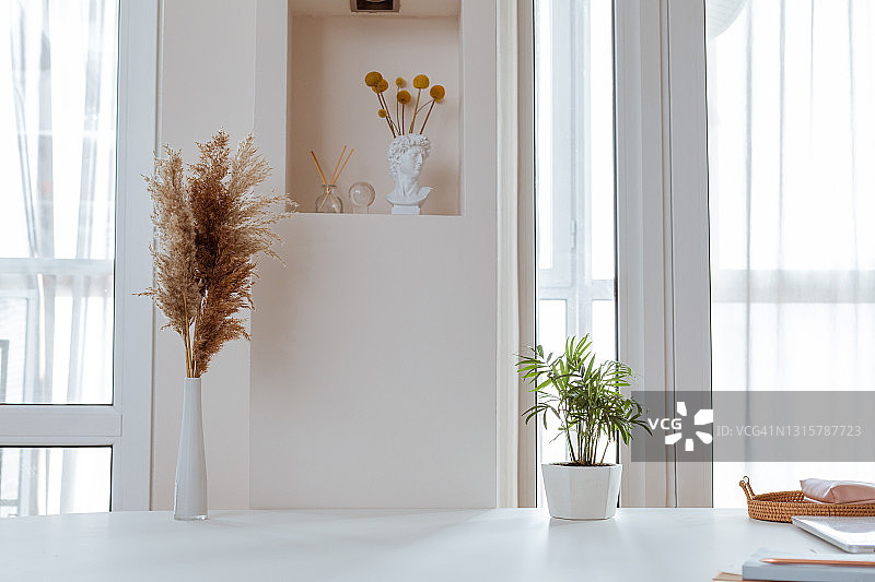 时尚的白色客厅搭配现代装饰，简单的家居装饰图片素材