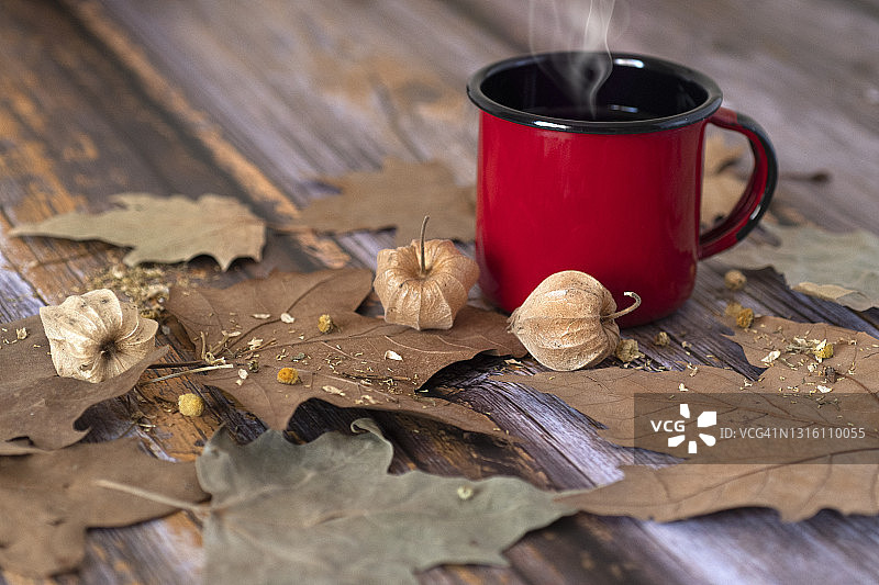 红色的咖啡杯，干叶，洋甘菊和酸浆在乡村木质背景-秋天图片素材