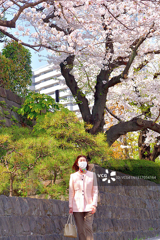 日本妇女走在樱花下沿着东京中心主干道图片素材