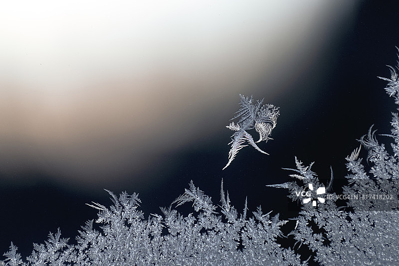 冰冻窗户上的冰晶特写。弗罗斯特的花图片素材