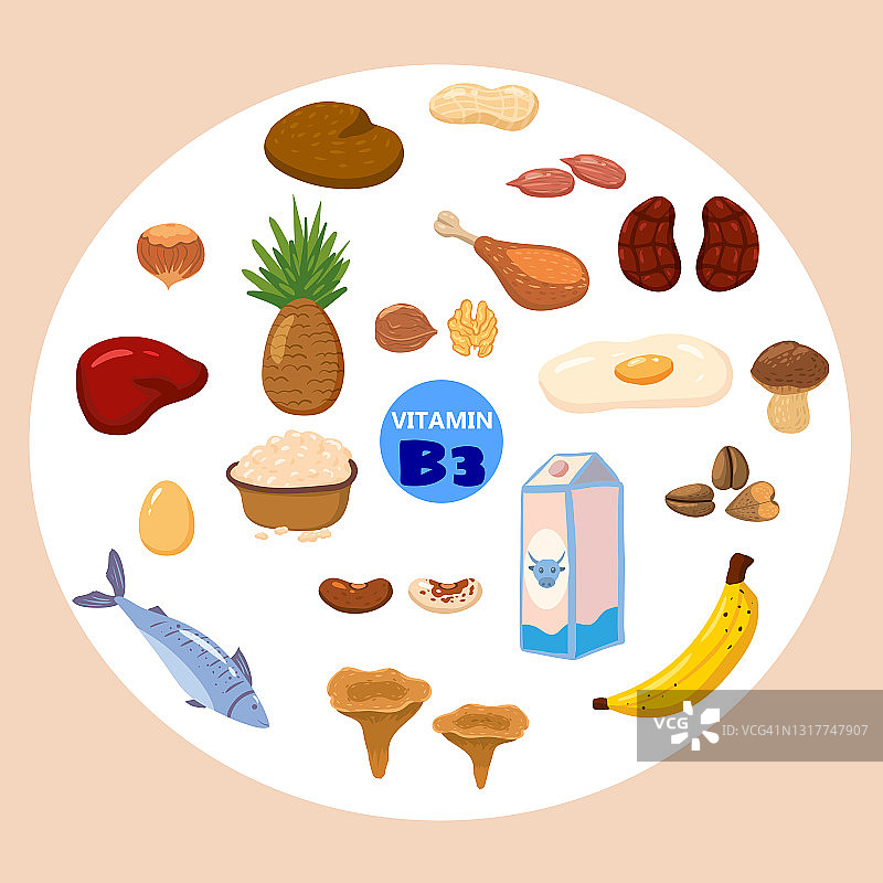 一套天然来源的维生素B3。富含烟酸、鳄梨、蘑菇、坚果、鱼、肝脏、香蕉、肾脏的健康乳制品。有机饮食产品，天然营养收集。矢量平面卡通插图孤立图片素材