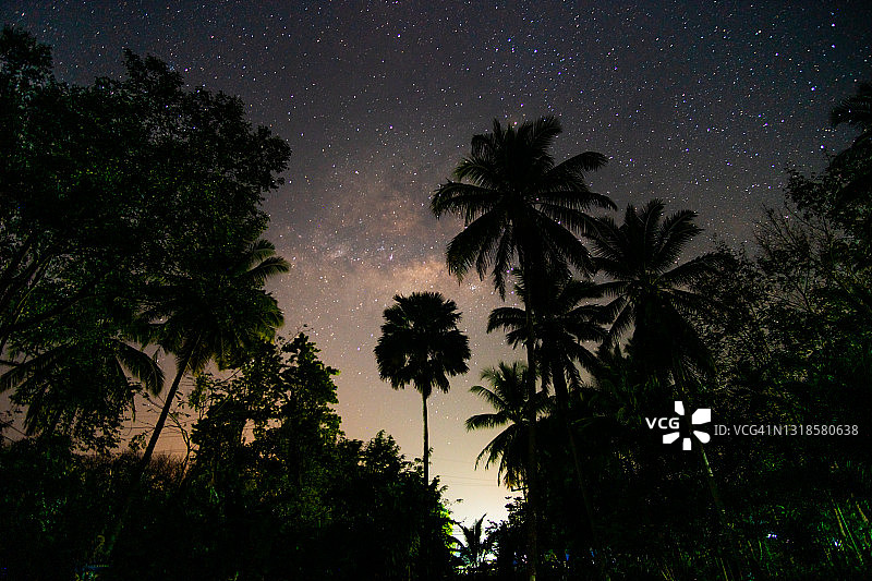 夜景拍摄棕榈树银河背景图片素材