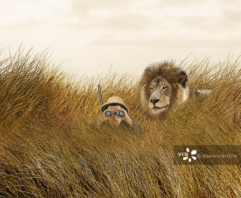 狮子猎杀猎人图片素材