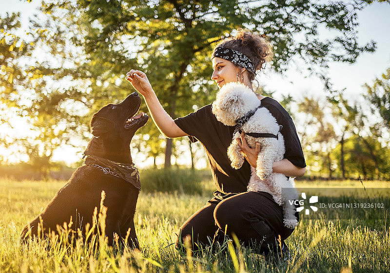 一个女人和她的两只狗在公园里玩得很开心图片素材