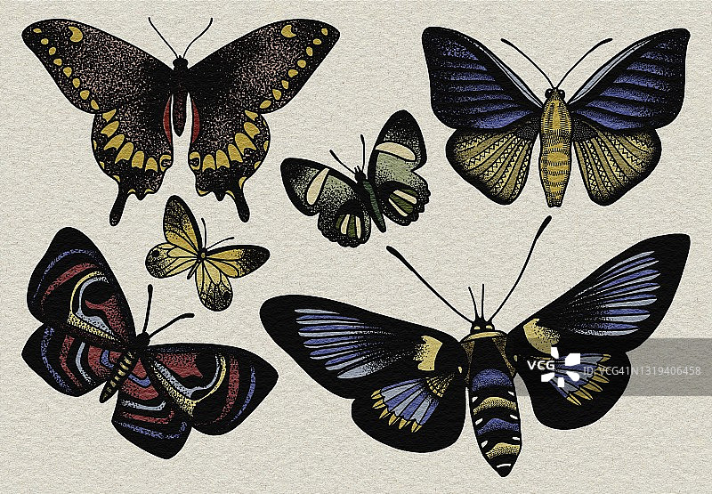 手绘线条艺术彩色点刻复古风格蝴蝶布景插图。用于卡片，明信片，海报，邀请，庆祝，婚礼，纹身，印刷，纺织图片素材