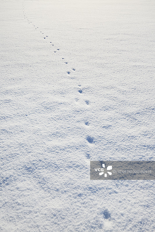 白雪覆盖的草地和动物的轨迹的全帧拍摄，抽象的背景图片素材