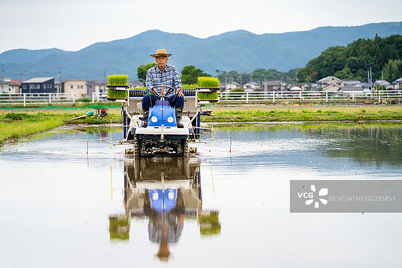 一个高级男子驾驶水稻种植机和种植他的水稻作物的肖像图片素材