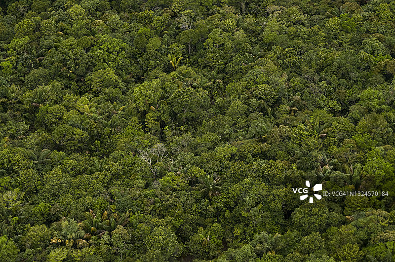 亚马逊雨林的鸟瞰图图片素材