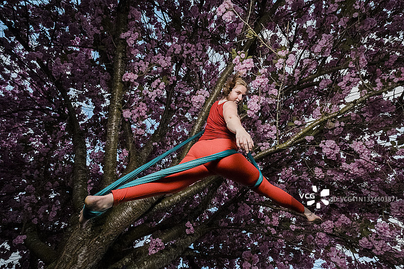 一位女高空杂技演员在一棵高大的樱花树上表演戏剧性的动作和戏法图片素材