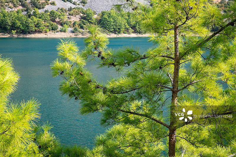 大坝湖在绿色峡谷。金牛山和绿松石水的美丽景色。有翠绿松树的针叶林。Manavgat、土耳其图片素材