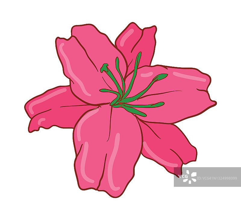 美丽的矢量花叶安排设置图形优雅的花和叶在彩色插图。可以用于你的婚礼或任何邀请模板吗图片素材