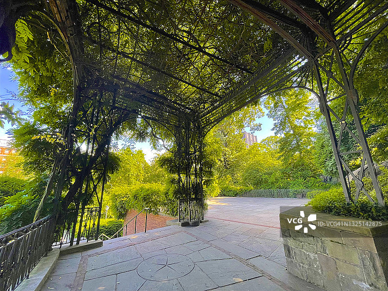 春天的藤架上，温室花园，纽约图片素材