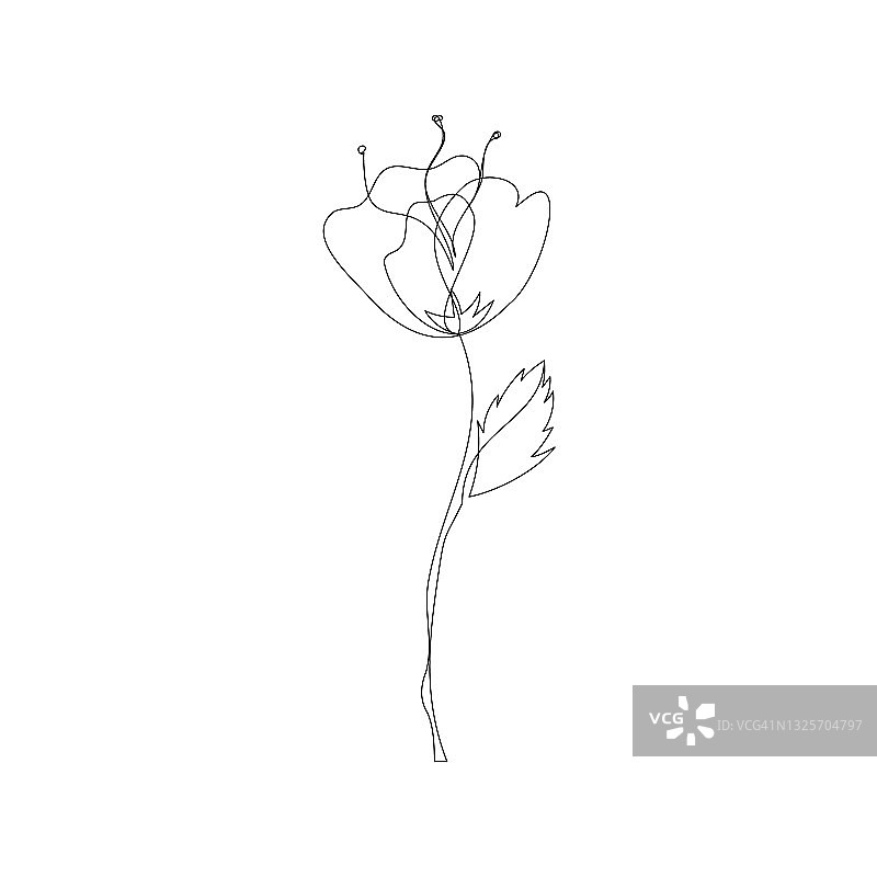 一行罂粟花画。图片素材