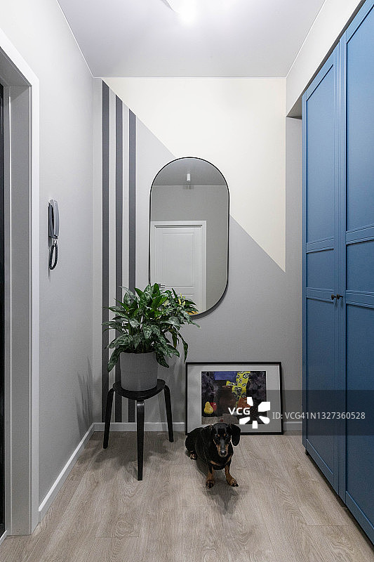 一间现代设计公寓的门厅:灰色和白色的墙壁，嵌入式衣柜。17、安全到家，优质前门图片素材