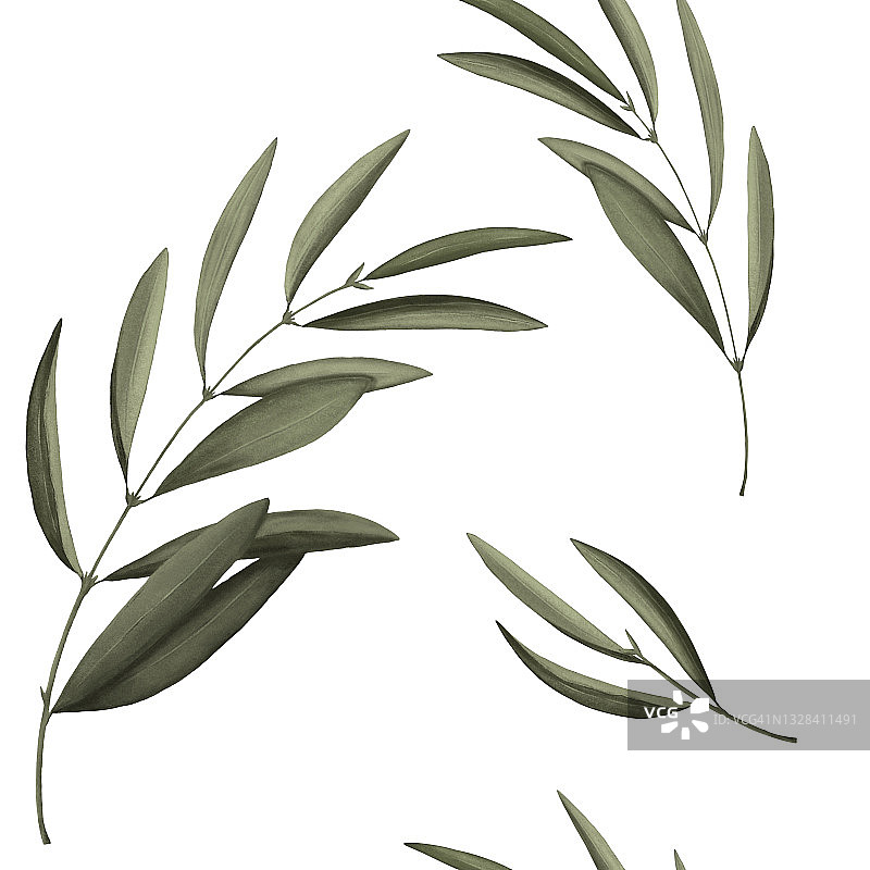 无缝图案与绿色桉树叶。植物有机元素在白色背景。手绘插图图片素材