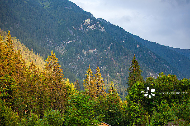 松树和奥地利阿尔卑斯山的日落图片素材