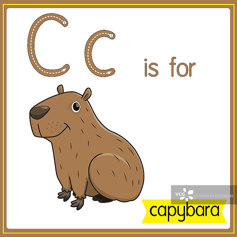 矢量插图学习字母为儿童与卡通形象。字母C代表水豚。图片素材