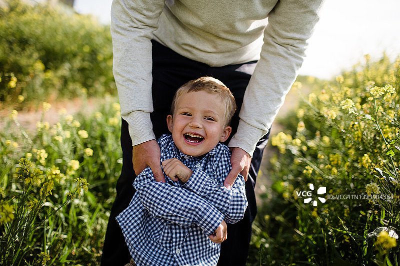 在野花地里，小男孩被爸爸抱着大笑图片素材