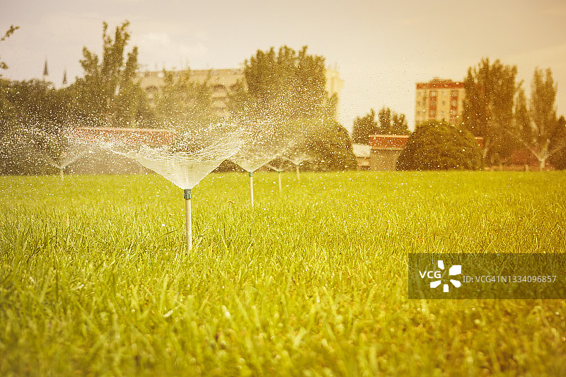 自动花园草坪洒水器在行动中浇灌草坪。近距离图片素材
