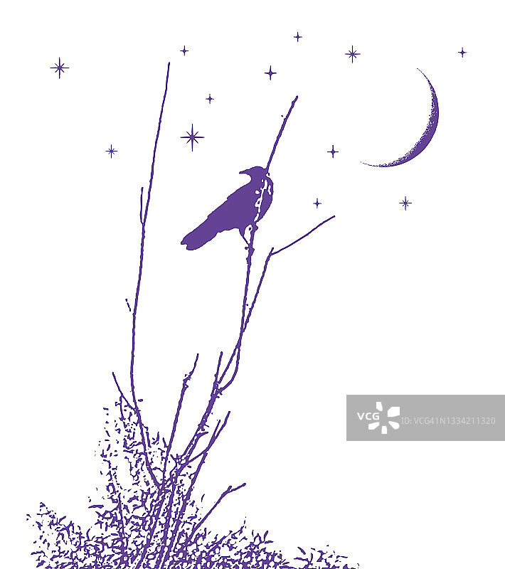 乌鸦，月亮和星星图片素材